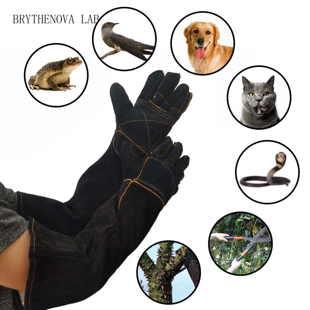 Cut Resistant Glove - Guantes para mascotas, guantes resistentes a