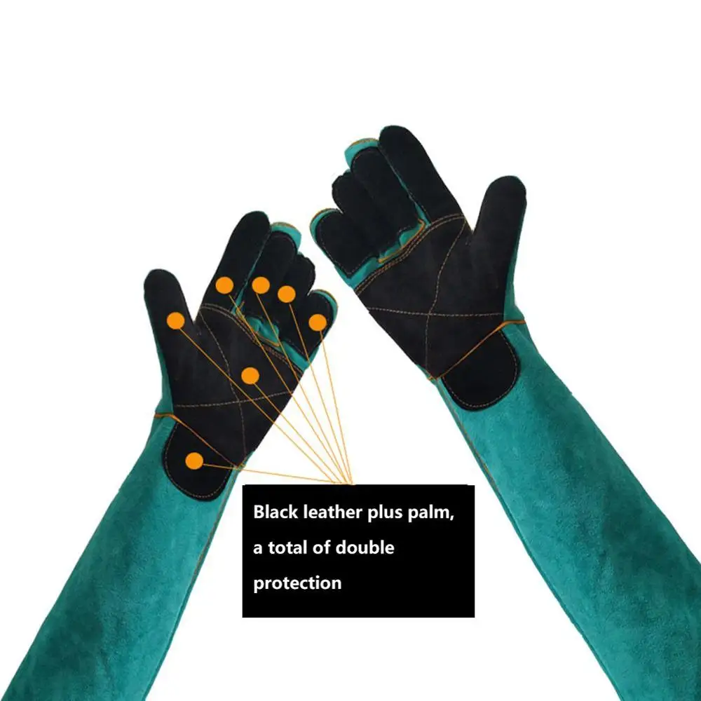 Guantes para mascotas, guantes - Cut Resistant Glove reseña y precio