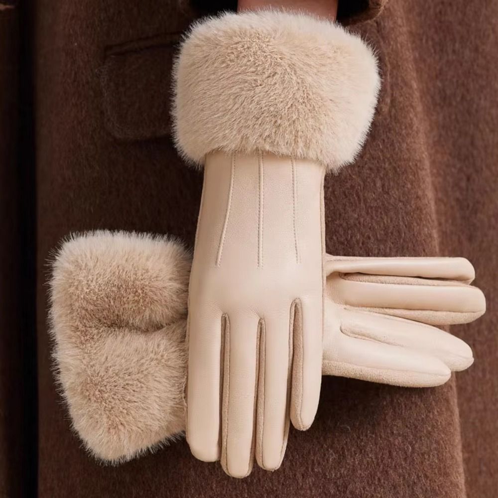 Guantes de cuero para mujer co - Winter Glove Insulated reseña y precio